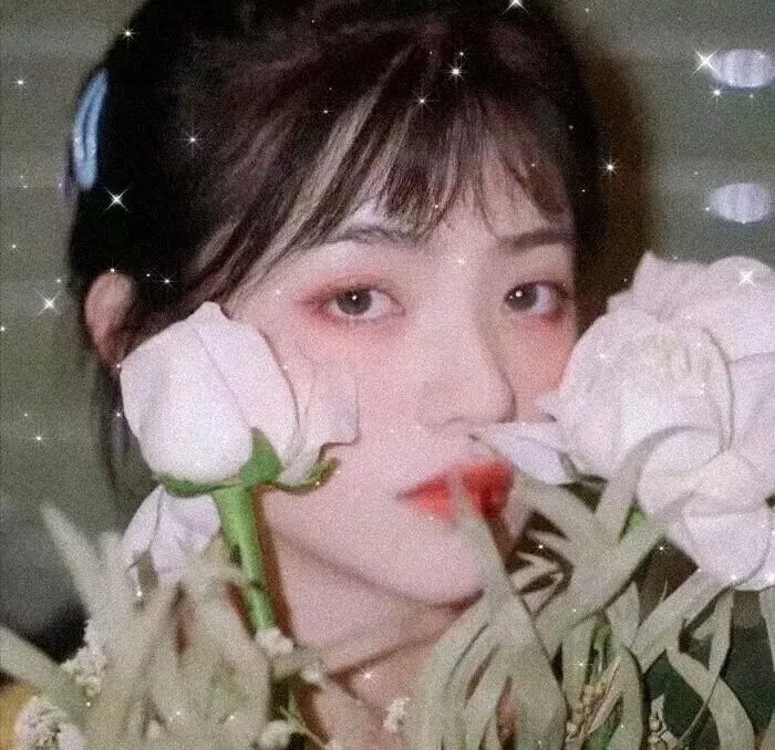 导演笔记