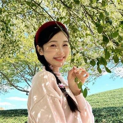 放心去飞